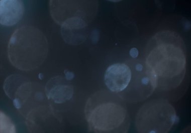 Tasarımınız için parlak bokeh arka plan