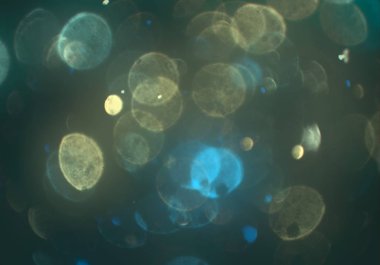 mavi ve beyaz arkaplan