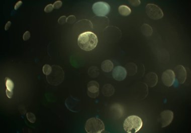 bokeh ile sanat soyut arka plan 