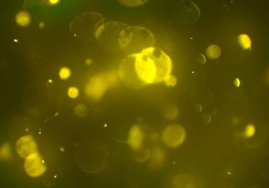 bokeh ile sanat soyut arka plan 