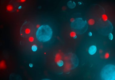 parlak bokeh ışıkları ile dijital duvar kağıdı 