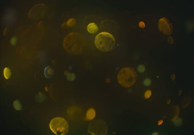 parlak bokeh ışıkları ile dijital duvar kağıdı 