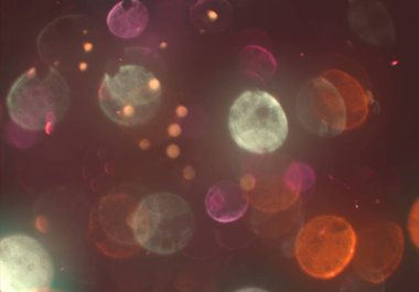 bokeh ile sanat soyut arka plan 