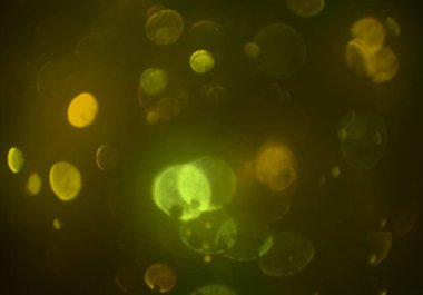 bokeh abstact arka plan ile galaksi