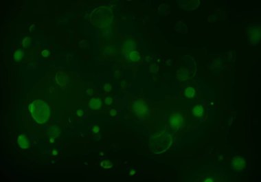 Tasarımınız için parlak bokeh arka plan