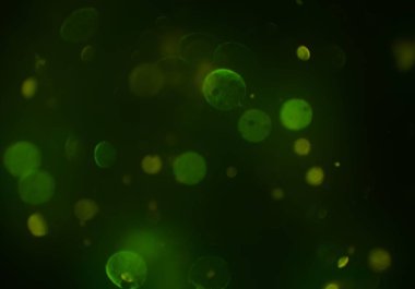 bokeh ile sanat soyut arka plan 