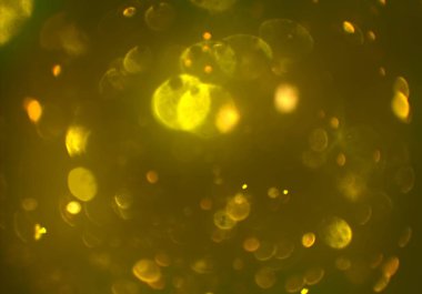 bokeh ile sanat soyut arka plan 