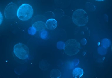 bokeh ile sanat soyut arka plan 