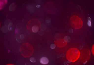 Tasarımınız için parlak bokeh arka plan