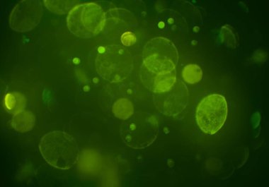 bokeh ile sanat soyut arka plan 