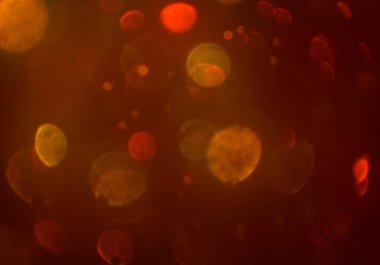 kopya alanı ile bokeh ışıkları dijital arka plan