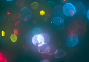 bokeh ile sanat soyut arka plan 