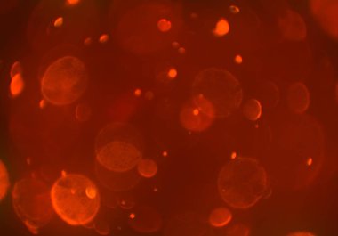 bokeh ve metin için alan ile soyut duvar kağıdı