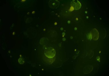 bokeh ışıkları ile soyut duvar kağıdı