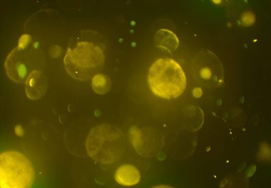 bokeh ile sanat soyut arka plan 