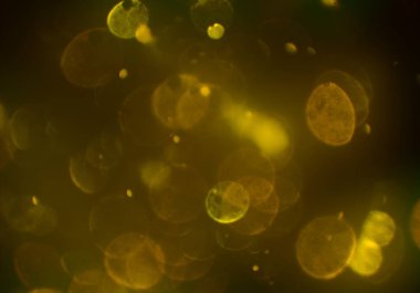 Bokeh ile soyut arkaplan