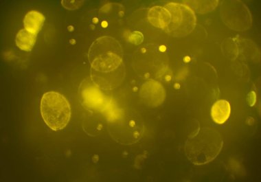 afiş tasarımı için soyut yaratıcı arka plan