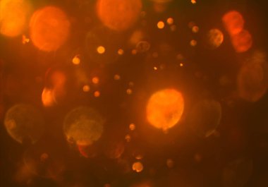 Bokeh ile soyut arkaplan