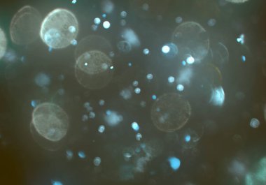 metin veya görüntü için alan ile bokeh arka plan