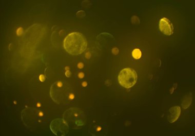 bokeh ile sanat soyut arka plan 