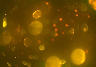 soyut bulanık bokeh arka plan, kopyalama alanı  