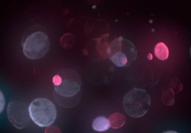 bokeh ve metin için alan ile soyut duvar kağıdı