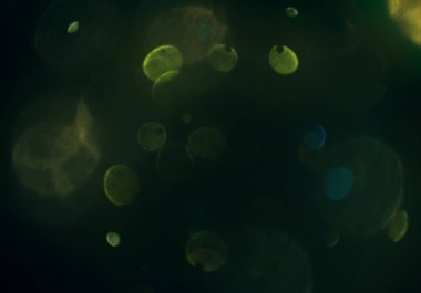 soyut bulanık bokeh arka plan, kopyalama alanı 