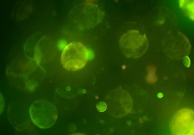 bokeh ile sanat soyut arka plan 