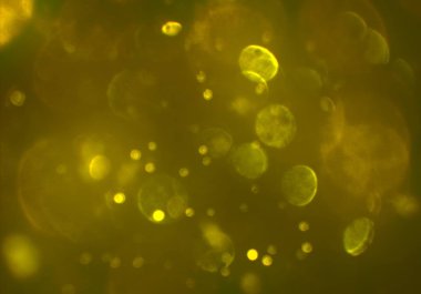 bokeh ile sanat soyut arka plan 