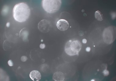 bokeh abstact arka plan ile galaksi