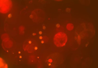 Bokeh ile soyut arkaplan