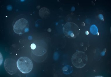 mavi ve beyaz arkaplan