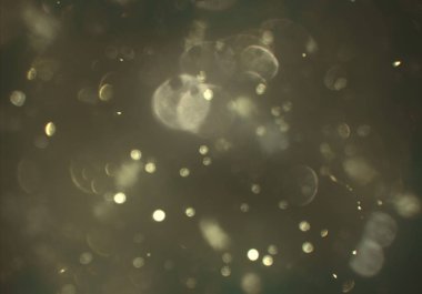 parlak bokeh ışıkları ile dijital duvar kağıdı 