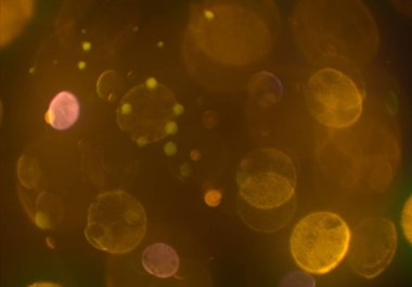 bokeh abstact arka plan ile galaksi