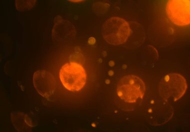 kopya alanı ile bokeh ışıkları dijital arka plan