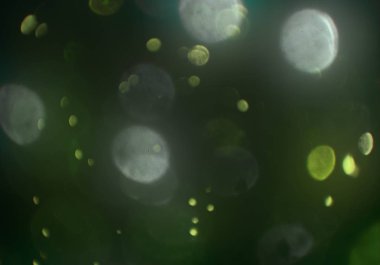 metin veya görüntü için alan ile bokeh arka plan