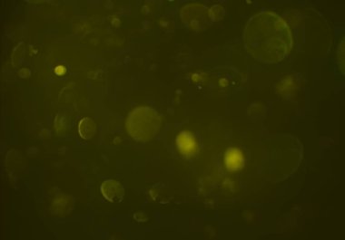 parlak bokeh ışıkları ile dijital duvar kağıdı 