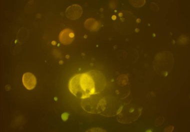 parlak bokeh ışıkları ile dijital duvar kağıdı 