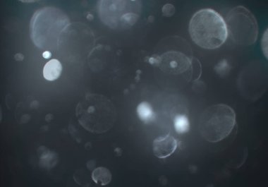 soyut bulanık bokeh arka plan, kopyalama alanı 