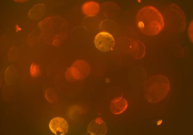 bokeh ile sanat soyut arka plan 