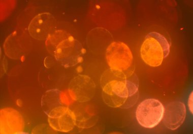 Işıklı soyut arkaplan