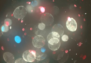 bokeh ile sanat soyut arka plan 