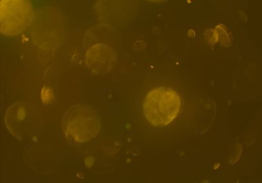 bokeh abstact arka plan ile galaksi