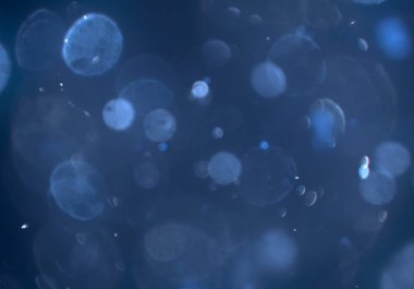 bokeh ile sanat soyut arka plan 