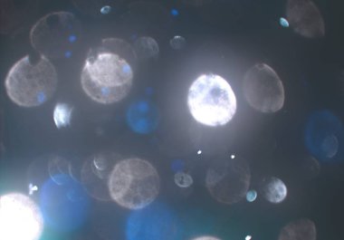 bokeh ile sanat soyut arka plan 