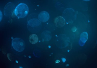 parlak bokeh ışıkları ile dijital duvar kağıdı 