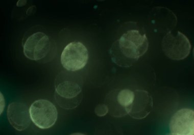 Bokeh ile soyut arkaplan