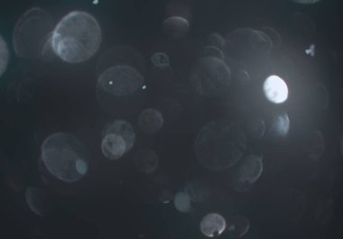 bokeh ve metin için alan ile soyut duvar kağıdı