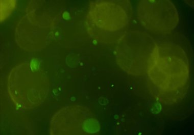 bokeh ile sanat soyut arka plan 