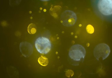 soyut arkaplan, kopyalama alanı